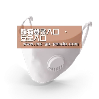N95 口罩
