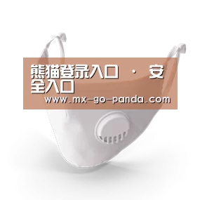 N95 口罩