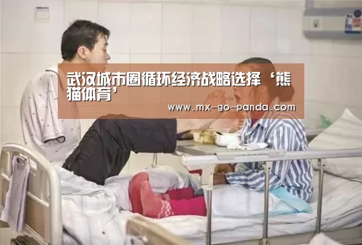 武汉城市圈循环经济战略选择‘熊猫体育’
