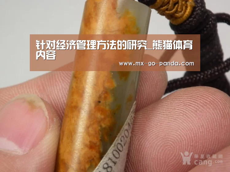熊猫体育app