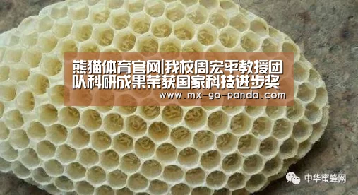 熊猫体育官网|我校周宏平教授团队科研成果荣获国家科技进步奖二等奖(图3) 熊猫体育官网