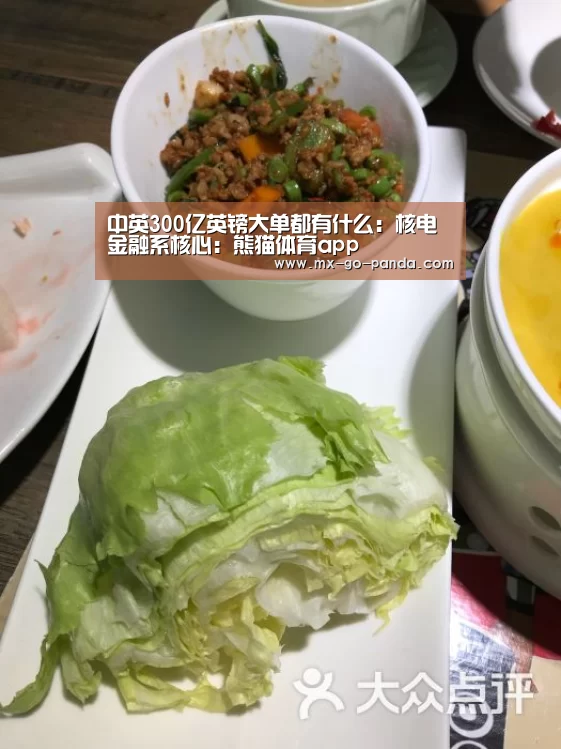 中英300亿英镑大单都有什么:核电金融系核心:熊猫体育app(图1) 熊猫体育内容