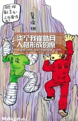 熊猫体育app