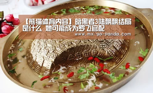 【熊猫体育内容】暗黑者3陆飘飘结局是什么 她可能成为罗飞官配(图2) 熊猫体育