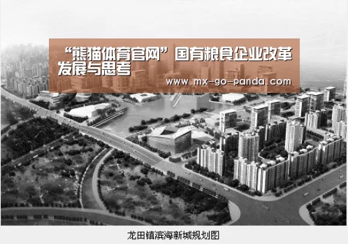 “熊猫体育官网”国有粮食企业改革发展与思考(图3) 熊猫体育