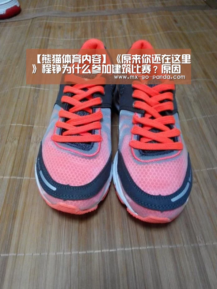 【熊猫体育内容】《原来你还在这里》程铮为什么参加建筑比赛?原因是什么(图1) 熊猫体育官网