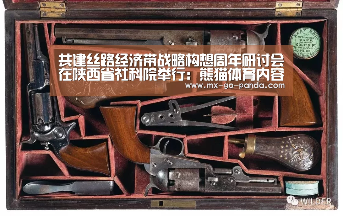 共建丝路经济带战略构想周年研讨会在陕西省社科院举行:熊猫体育内容(图4) 熊猫体育app
