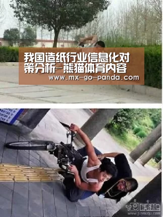 我国造纸行业信息化对策分析-熊猫体育内容(图3) 熊猫体育官网