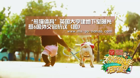 ‘熊猫体育’英国大亨建地下室曝光 惹6国外交官抗议(图)(图2) 熊猫体育