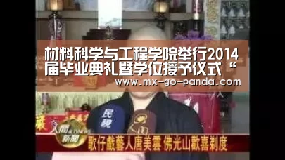 熊猫体育app