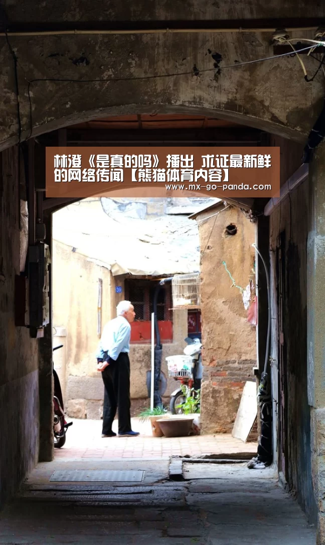 熊猫体育app